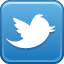 Bright Little Stars Twitter